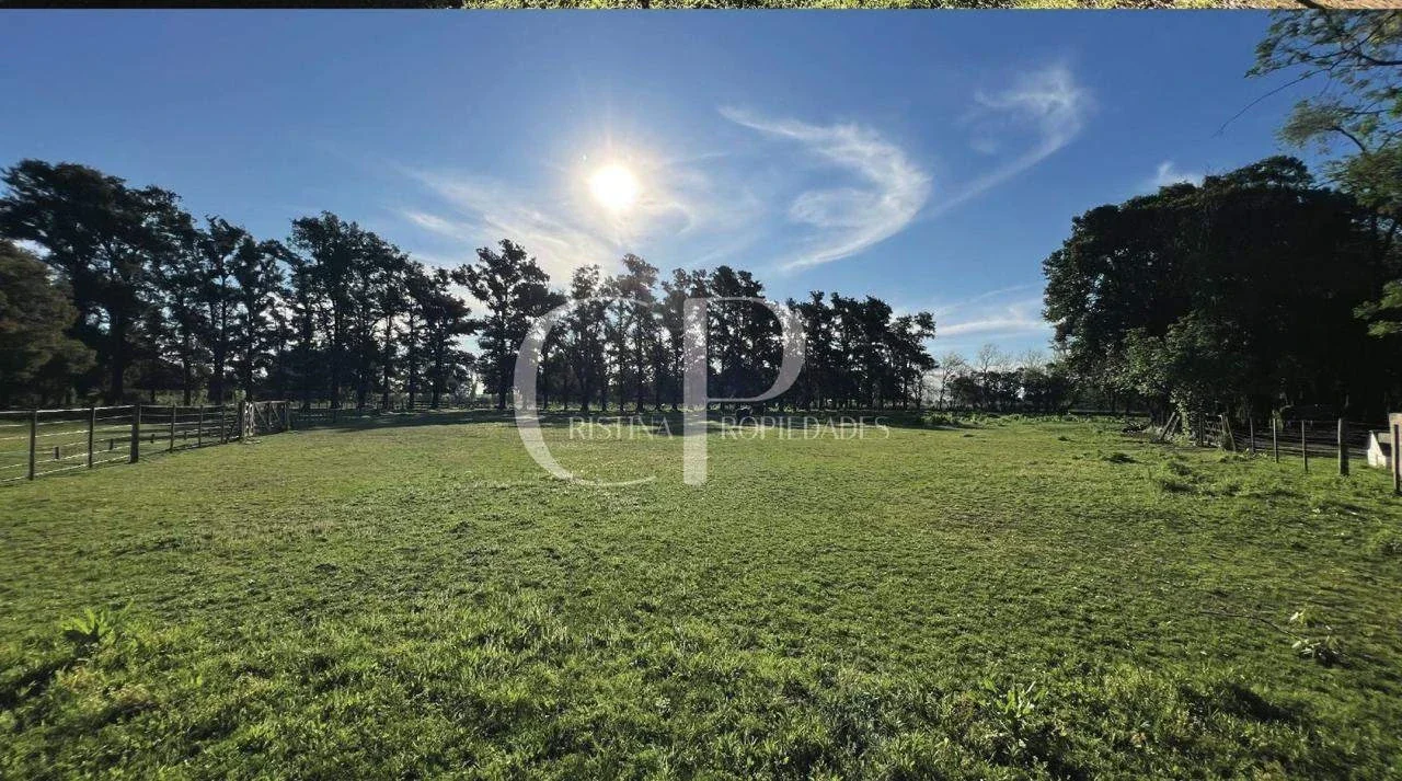 Campo en venta de 60000m2 ubicado en Mercedes - Imagen 4