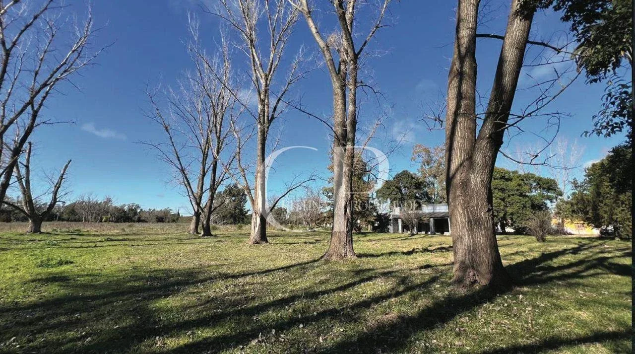 Chacra en venta de 50000m2 ubicado en Mercedes - Imagen 3