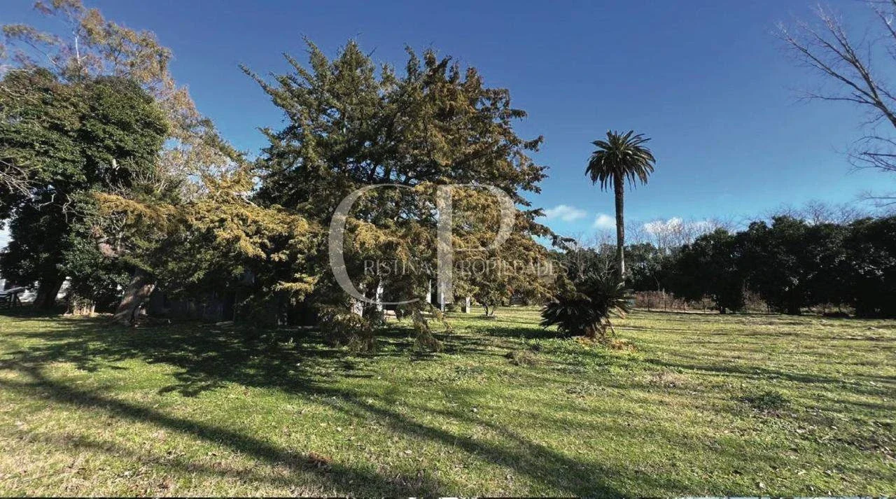 Chacra en venta de 50000m2 ubicado en Mercedes - Imagen 5