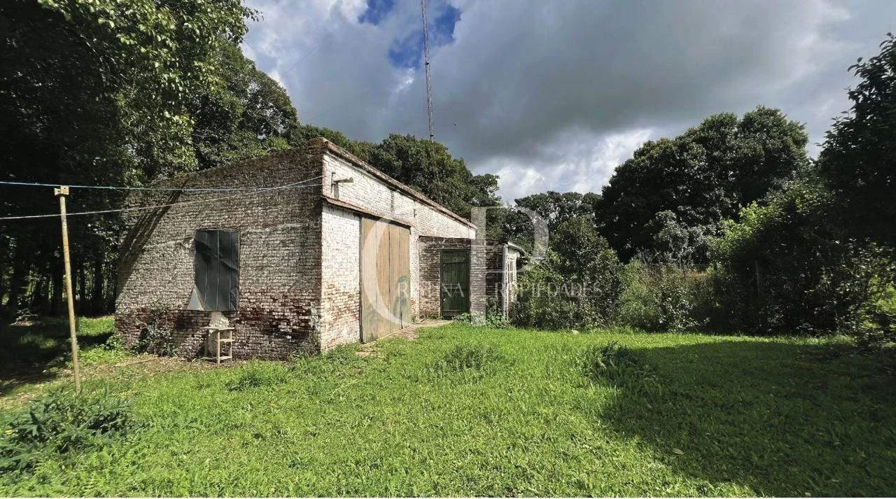 Campo en venta de 10000m2 ubicado en Mercedes - Imagen 2