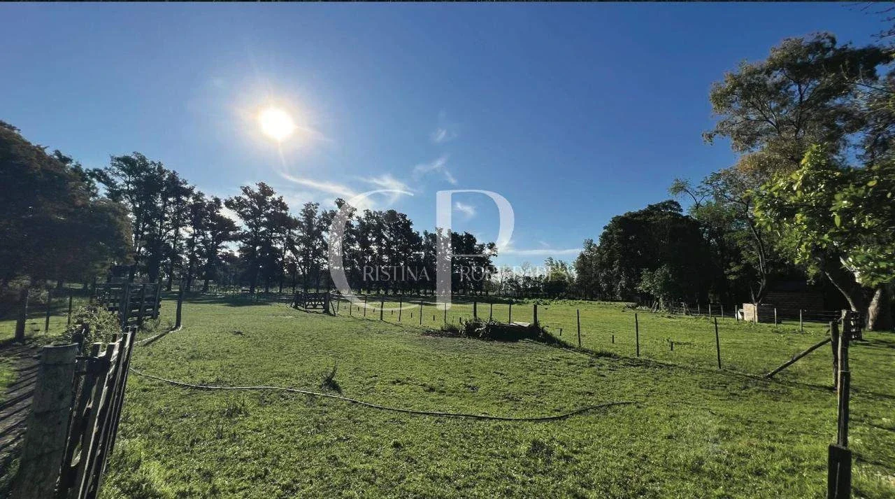 Campo en venta de 60000m2 ubicado en Mercedes - Imagen 5
