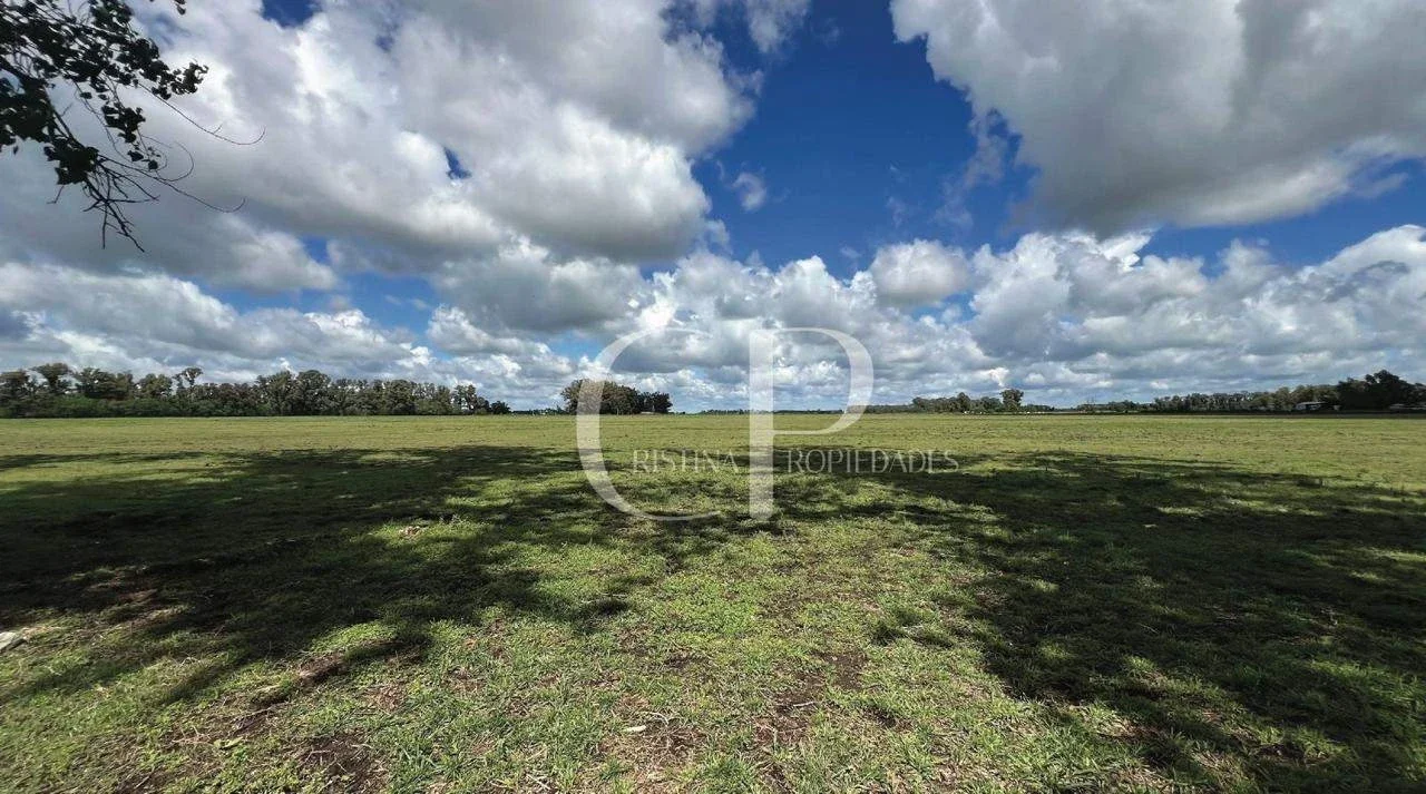 Campo en venta de 180000m2 ubicado en Mercedes - Imagen 5