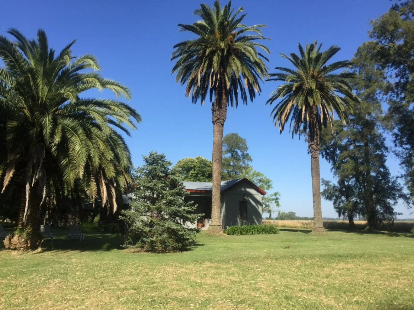 Campo en venta de 300000m2 ubicado en Mercedes - Imagen 2