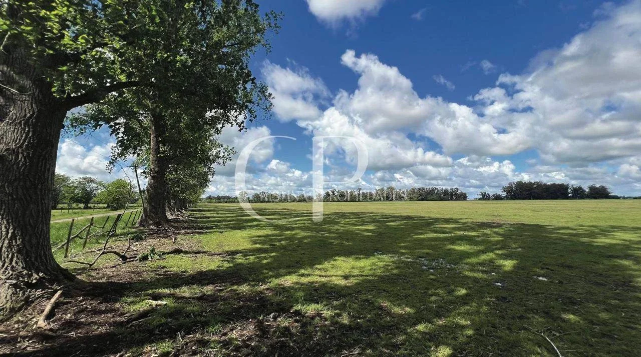 Campo en venta de 180000m2 ubicado en Mercedes - Imagen 2