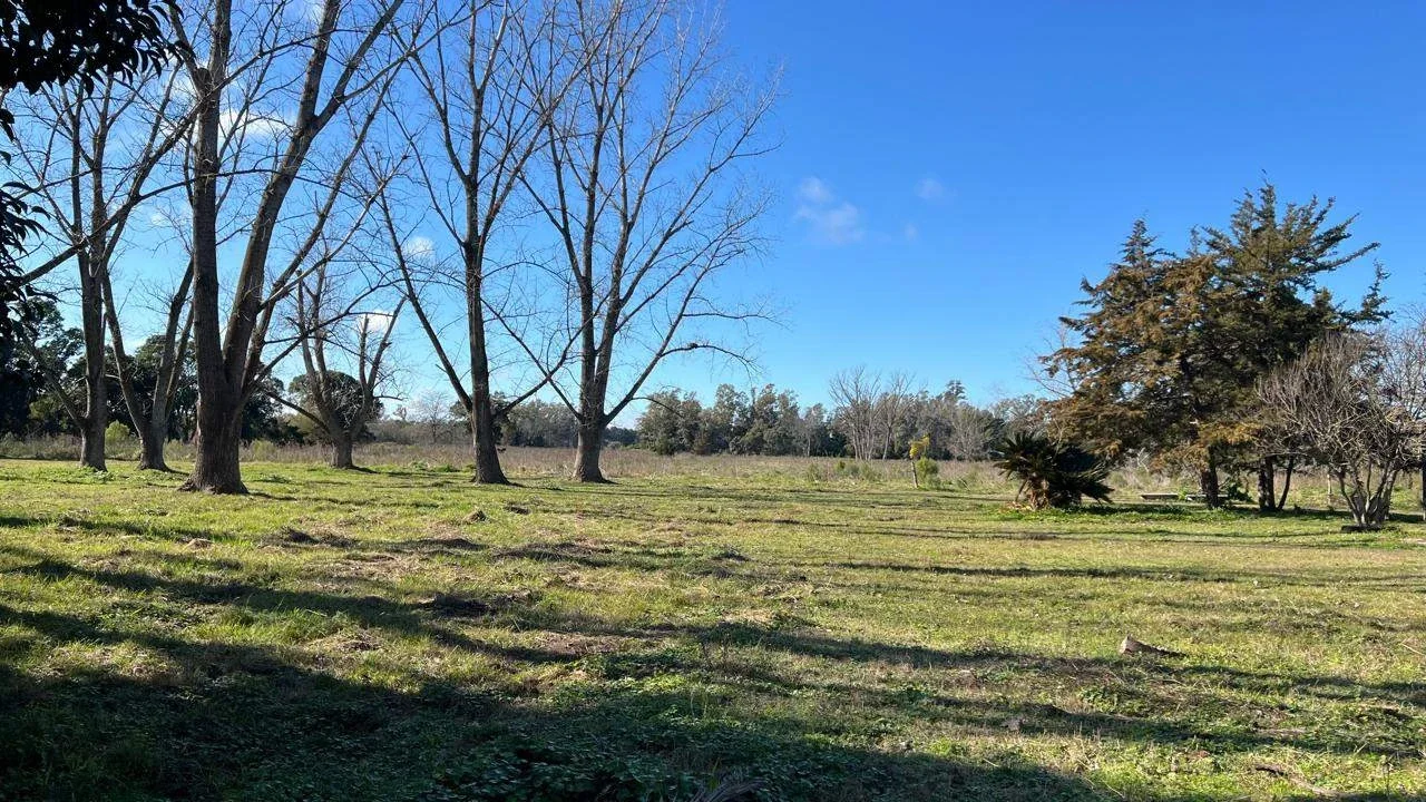 Campo en venta de 49140m2 ubicado en Mercedes - Imagen 3