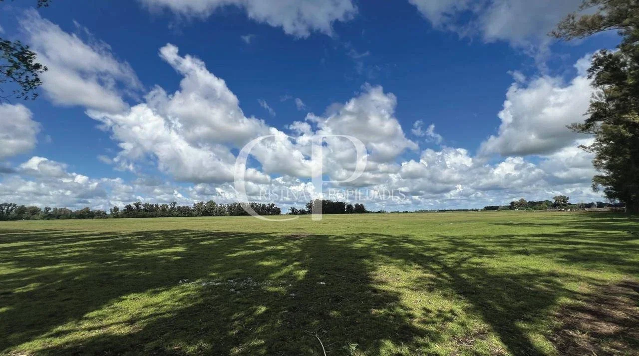 Campo en venta de 180000m2 ubicado en Mercedes - Imagen 3