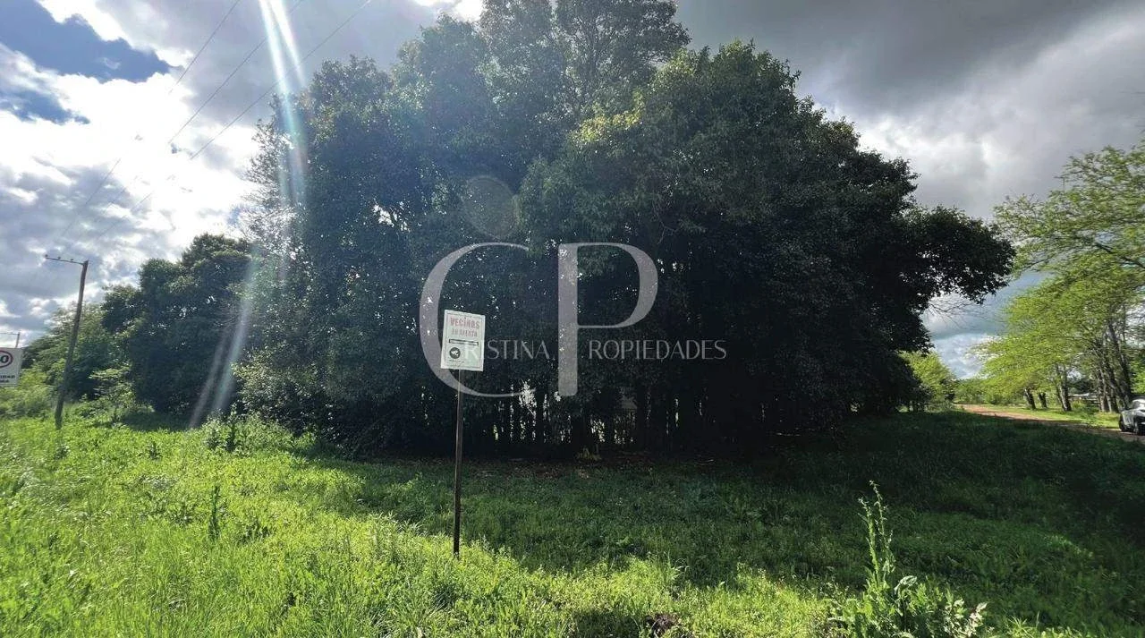 Campo en venta de 10000m2 ubicado en Mercedes - Imagen 5