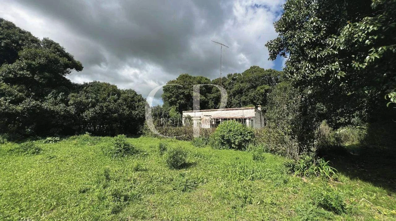 Campo en venta de 10000m2 ubicado en Mercedes - Imagen 3