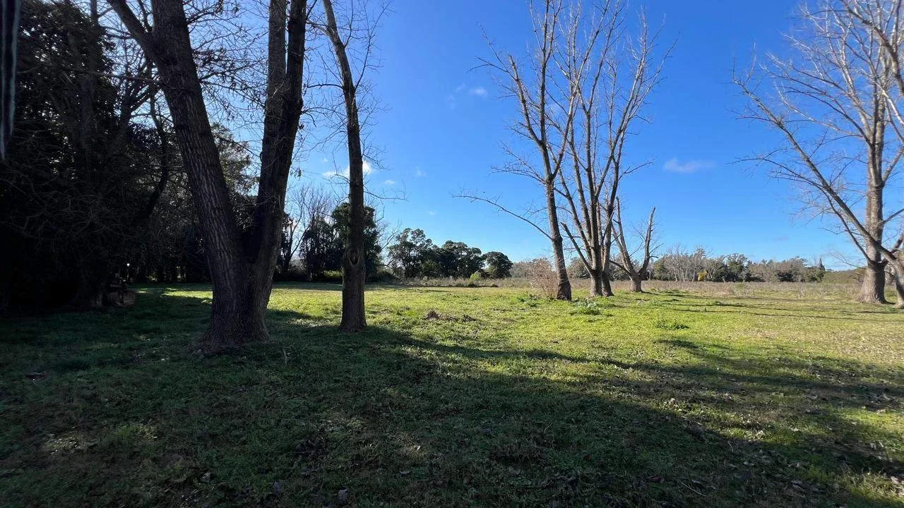 Campo en venta de 49140m2 ubicado en Mercedes - Imagen 2
