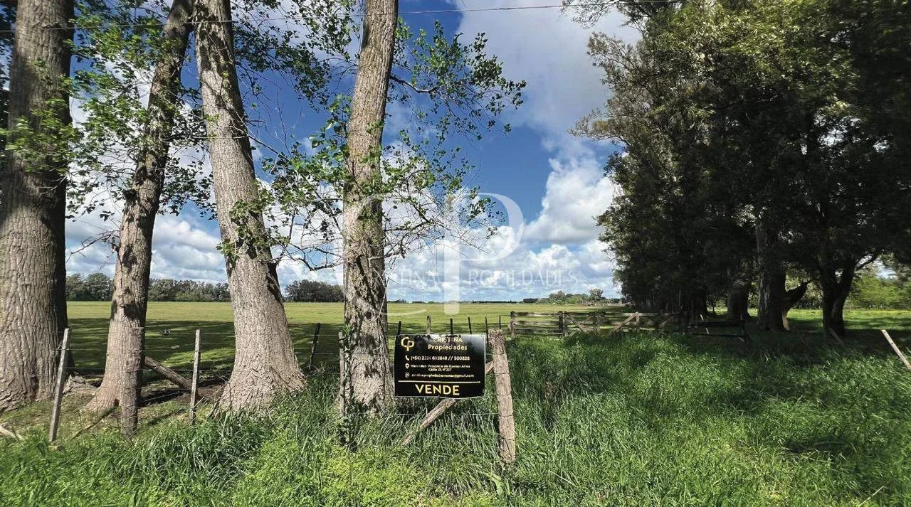 Campo en venta de 180000m2 ubicado en Mercedes - Imagen 1