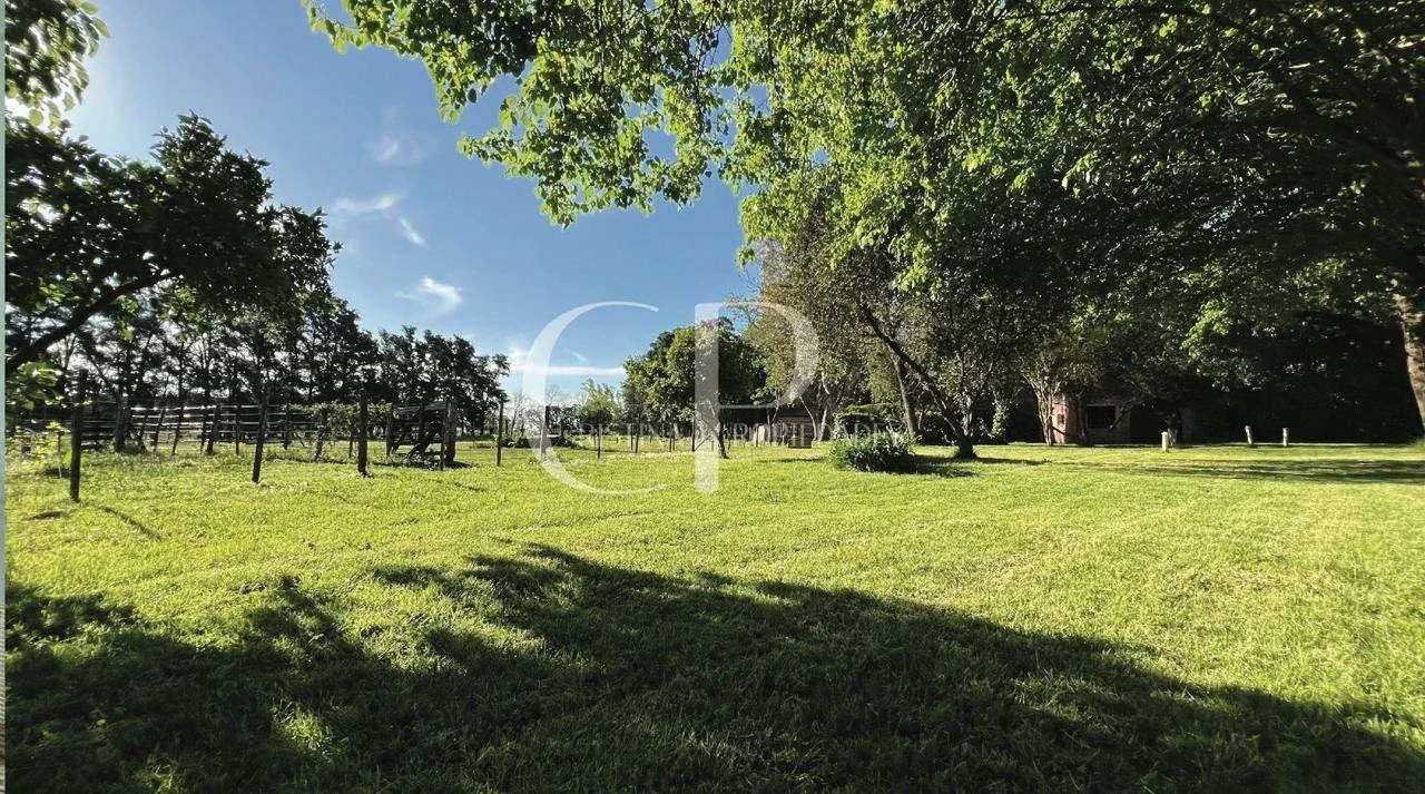 Campo en venta de 60000m2 ubicado en Mercedes - Imagen 3