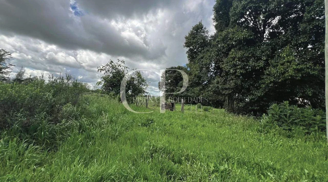 Campo en venta de 10000m2 ubicado en Mercedes - Imagen 4