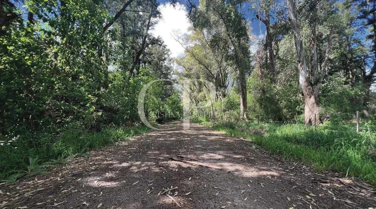 Campo en venta de 180000m2 ubicado en Mercedes - Imagen 4