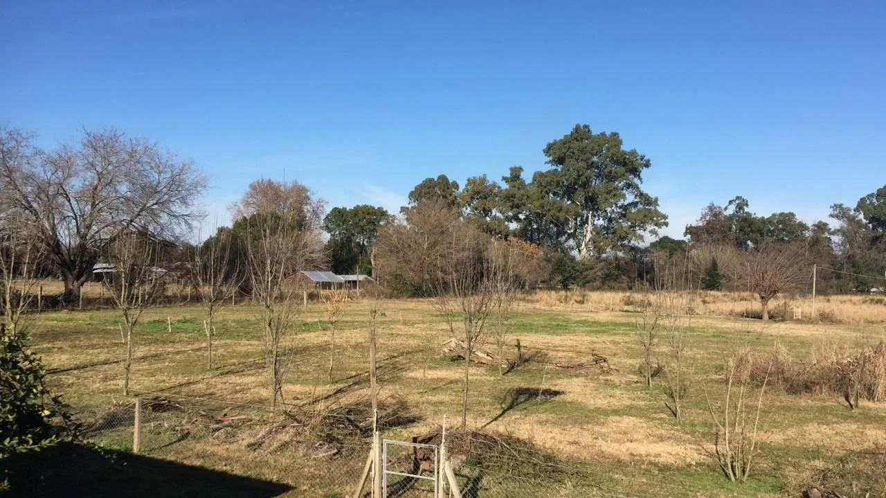 Campo en Alquiler de 50.000m2 ubicado en Belén de Escobar - Imagen 5