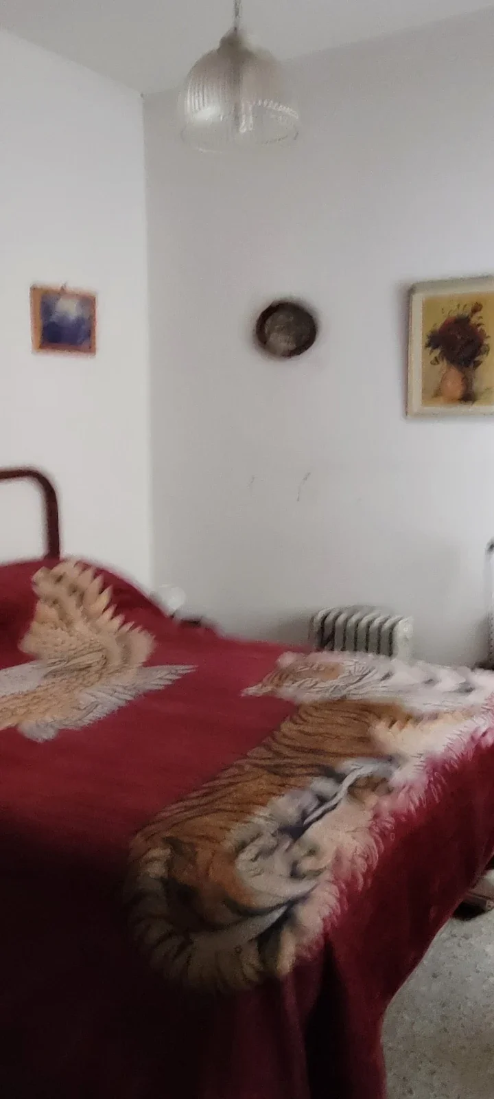 Casa en venta c/ cochera en Don Caggiano - Imagen 5