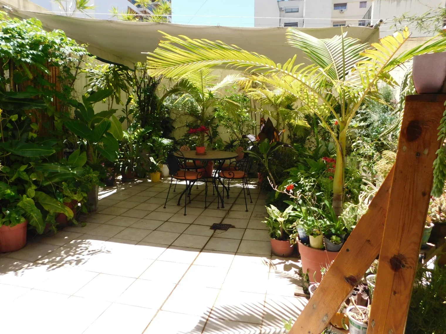 Departamento 3 ambientes con patio y balcón en venta en Colegiales - Imagen 4
