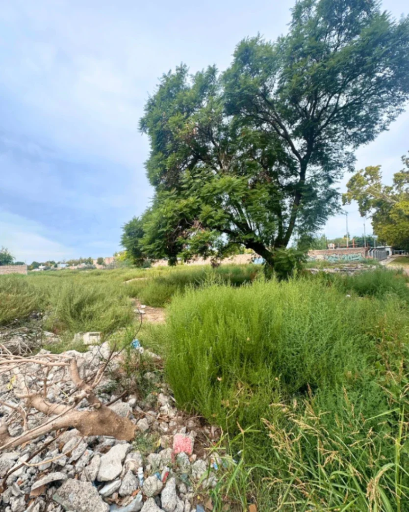TERRENO EN VENTA – IDEAL DESARROLLO INMOBILIARIO EN LAS HERAS - Imagen 5