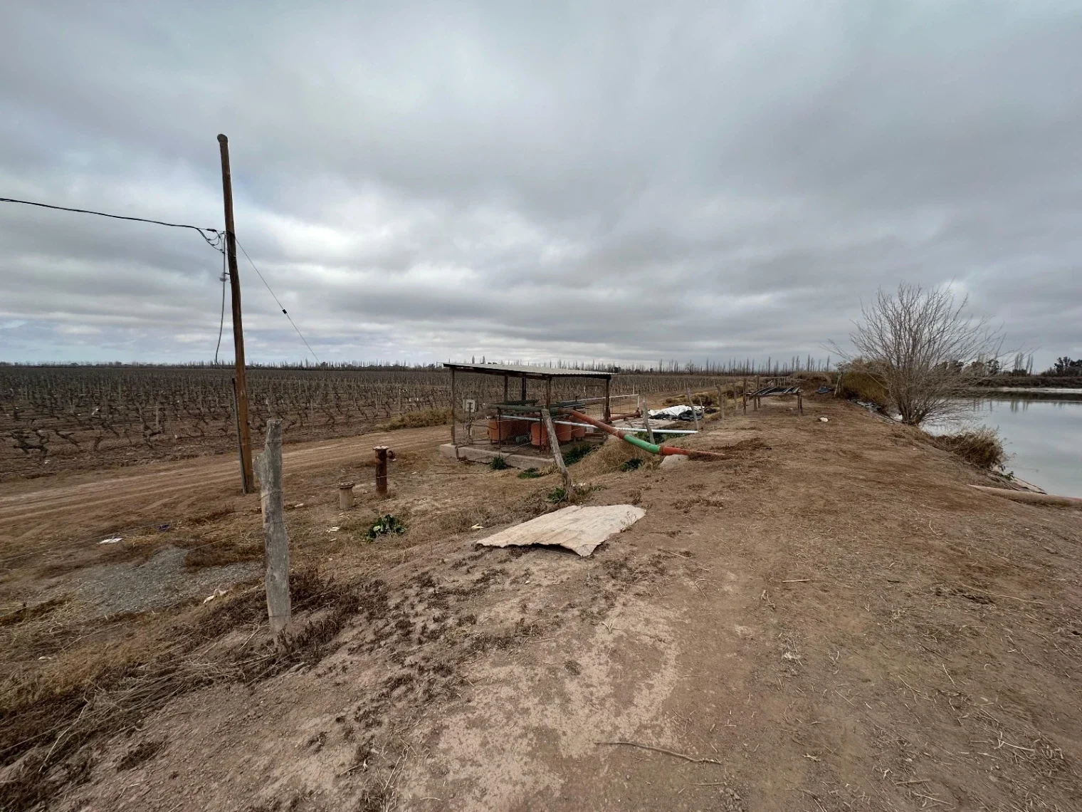 FINCA EN VENTA - LAVALLE, MENDOZA - Imagen 4