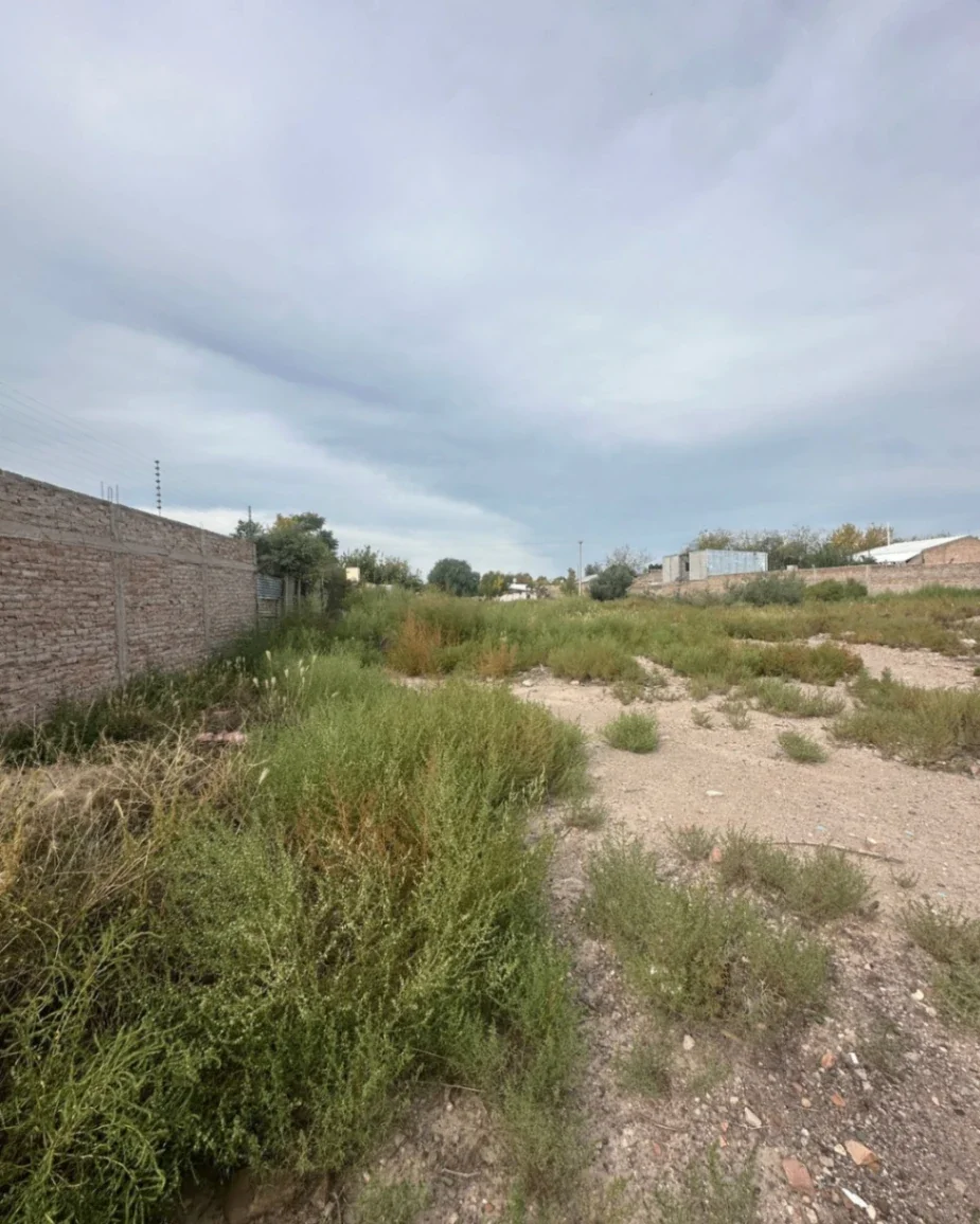 TERRENO EN VENTA – IDEAL DESARROLLO INMOBILIARIO EN LAS HERAS - Imagen 3