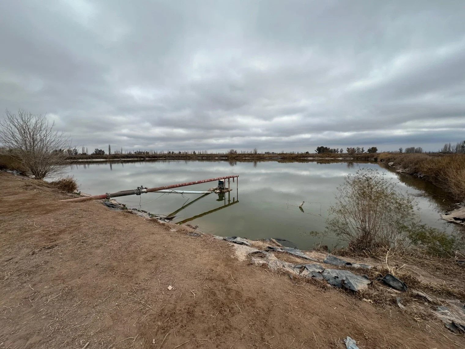 FINCA EN VENTA - LAVALLE, MENDOZA - Imagen 3