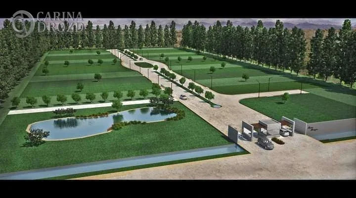 Terreno / Lote en venta de 1030m2 ubicado en Mayor Drummond - Imagen 4