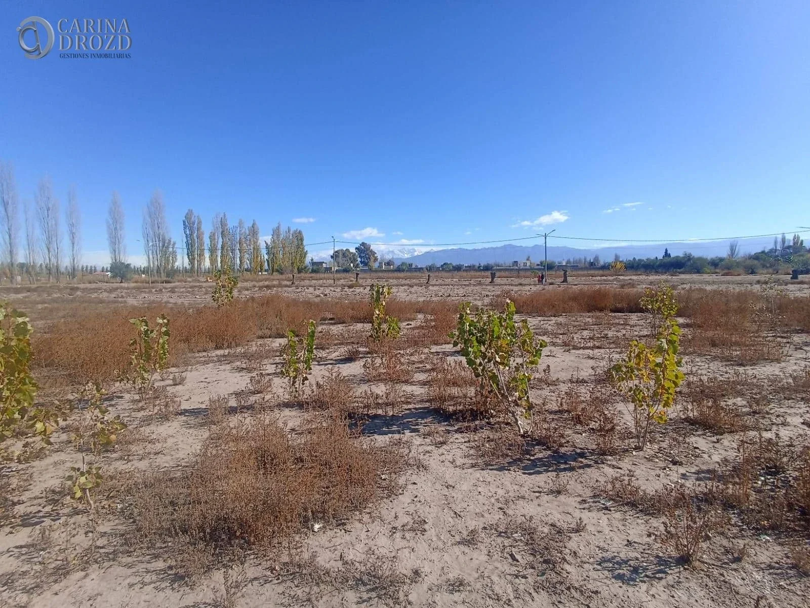 Terreno / Lote en venta de 1030m2 ubicado en Mayor Drummond - Imagen 5