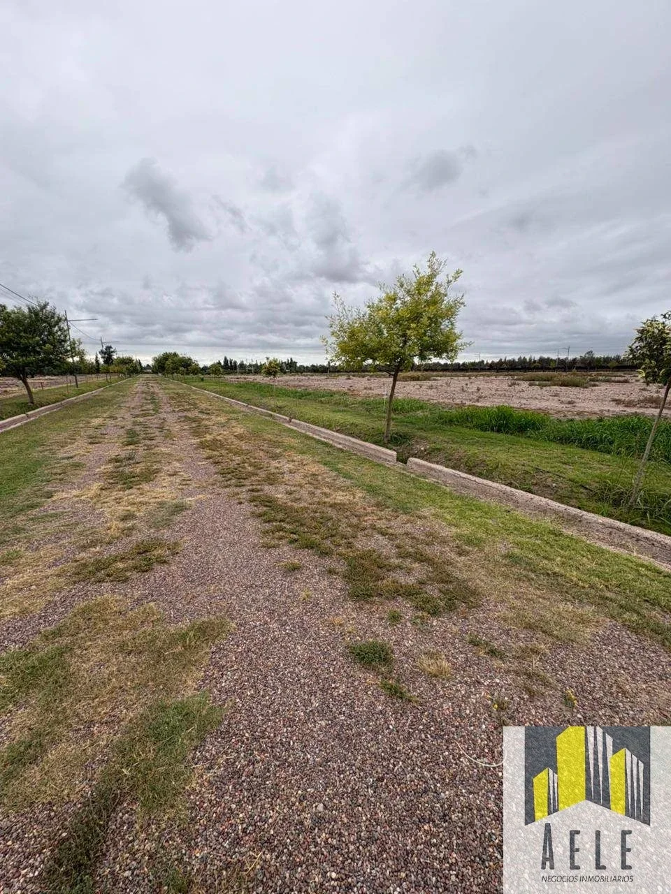 Terreno / Lote en venta de 500m2 ubicado en Cruz de Piedra - Imagen 5