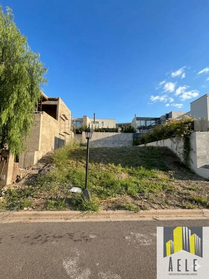 LOTE EN VENTA- B° DALVIAN- 300 M2-MENDOZA - Imagen 1