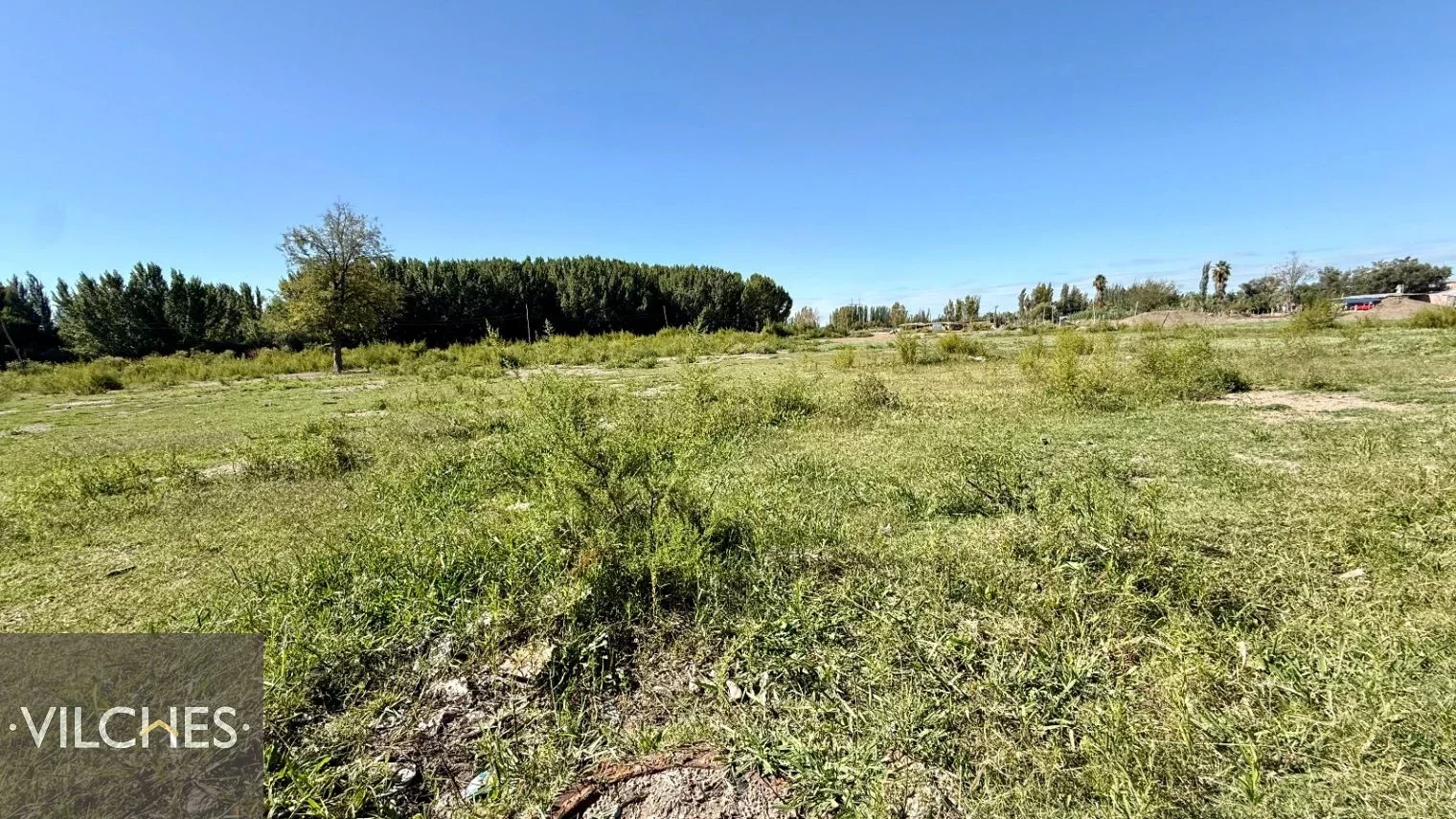 Fracción estratégica en Los Corralitos: 64.706 m² con anteproyecto - Imagen 5
