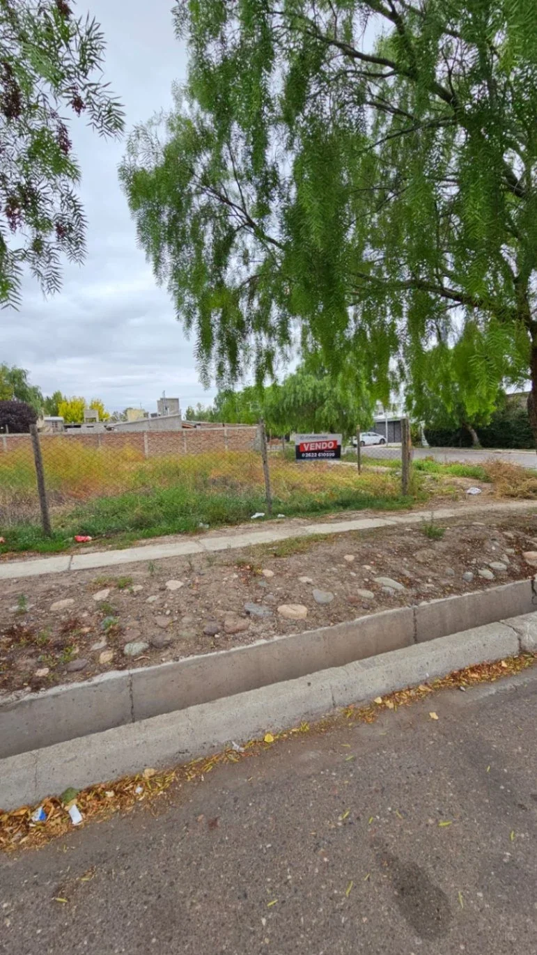Terreno / Lote en venta de 274.37m2 ubicado en Tunuyán - Imagen 1