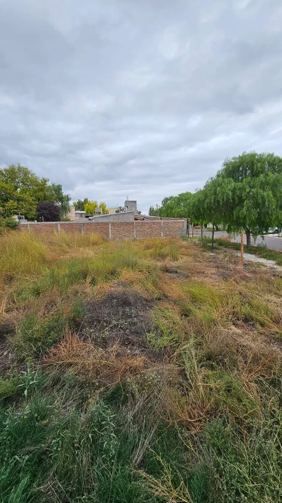 Terreno / Lote en venta de 274.37m2 ubicado en Tunuyán - Imagen 3