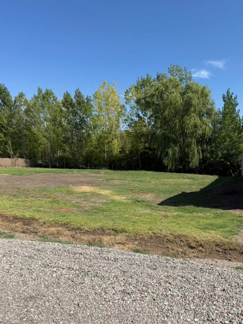 Terreno / Lote en venta de 450.65m2 ubicado en Raices del Valle - Imagen 4