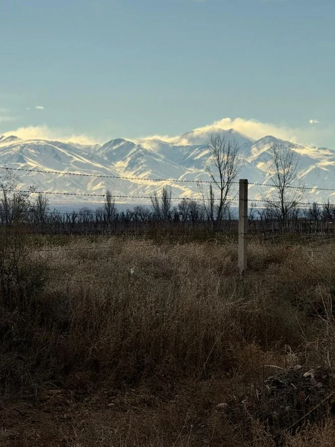 Terreno / Lote en venta de 2000m2 ubicado en Vista Flores - Imagen 5