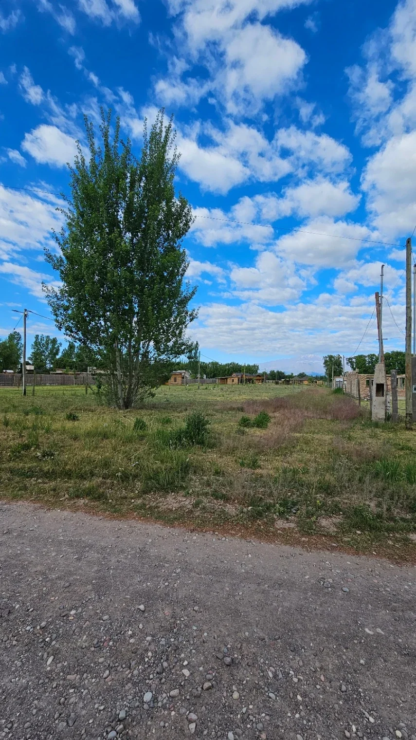 Terreno / Lote en venta de 2000.53m2 ubicado en Tunuyán - Imagen 2