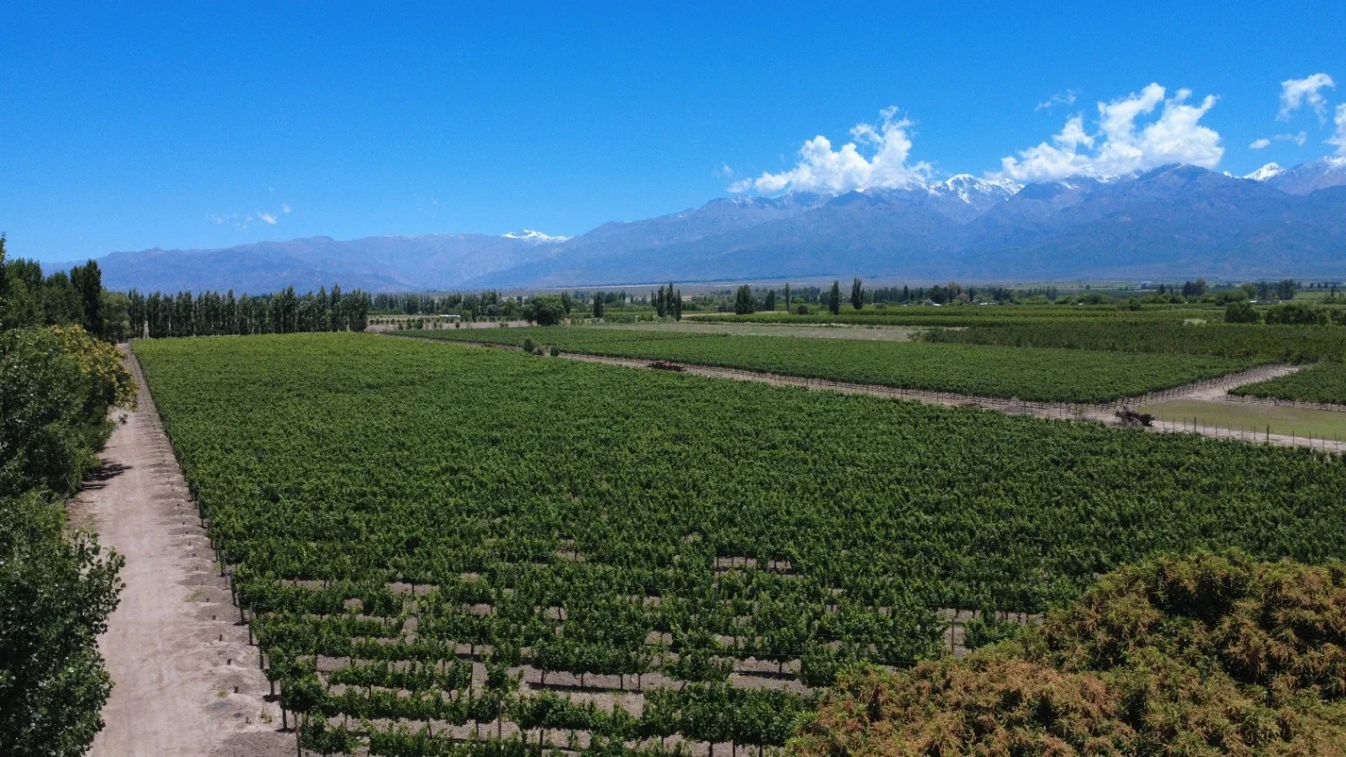 Chalet en venta en Vista Flores - Imagen 1