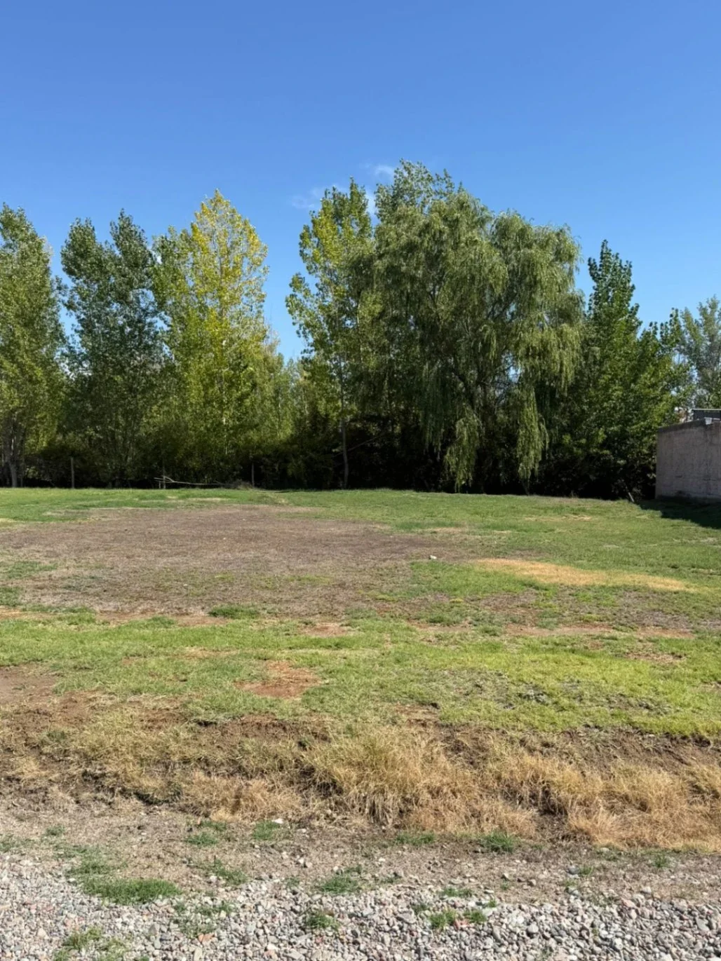 Terreno / Lote en venta de 450.65m2 ubicado en Raices del Valle - Imagen 5