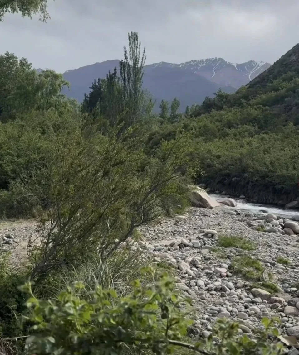 Terreno / Lote en venta de 511m2 ubicado en El Manzano-Tunuyán-Mendoza - Imagen 1