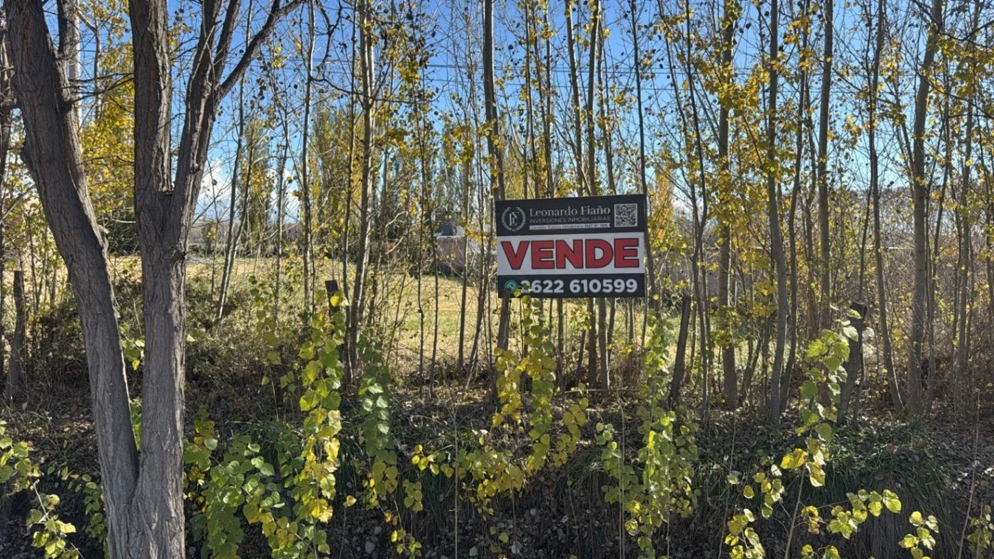 Terreno / Lote en venta de 1616m2 ubicado en Colonia Las Rosas - Imagen 2