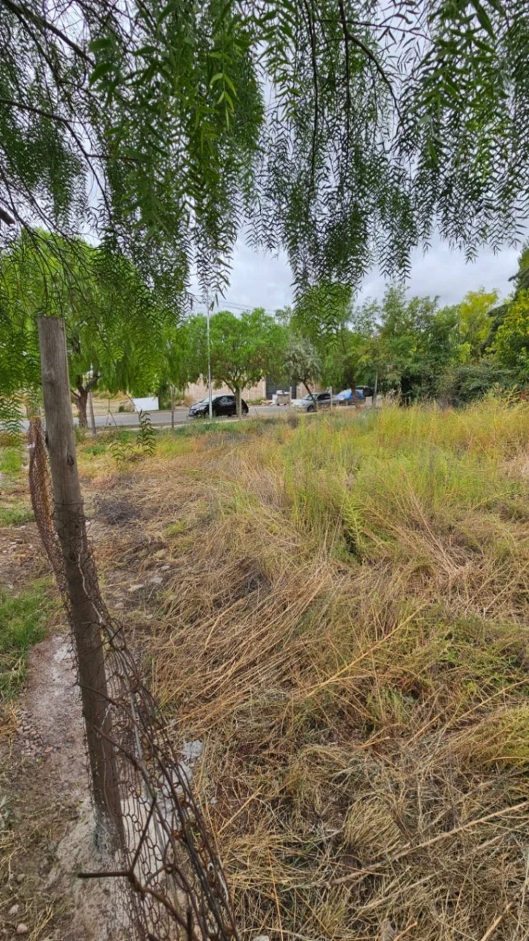 Terreno / Lote en venta de 274.37m2 ubicado en Tunuyán - Imagen 4