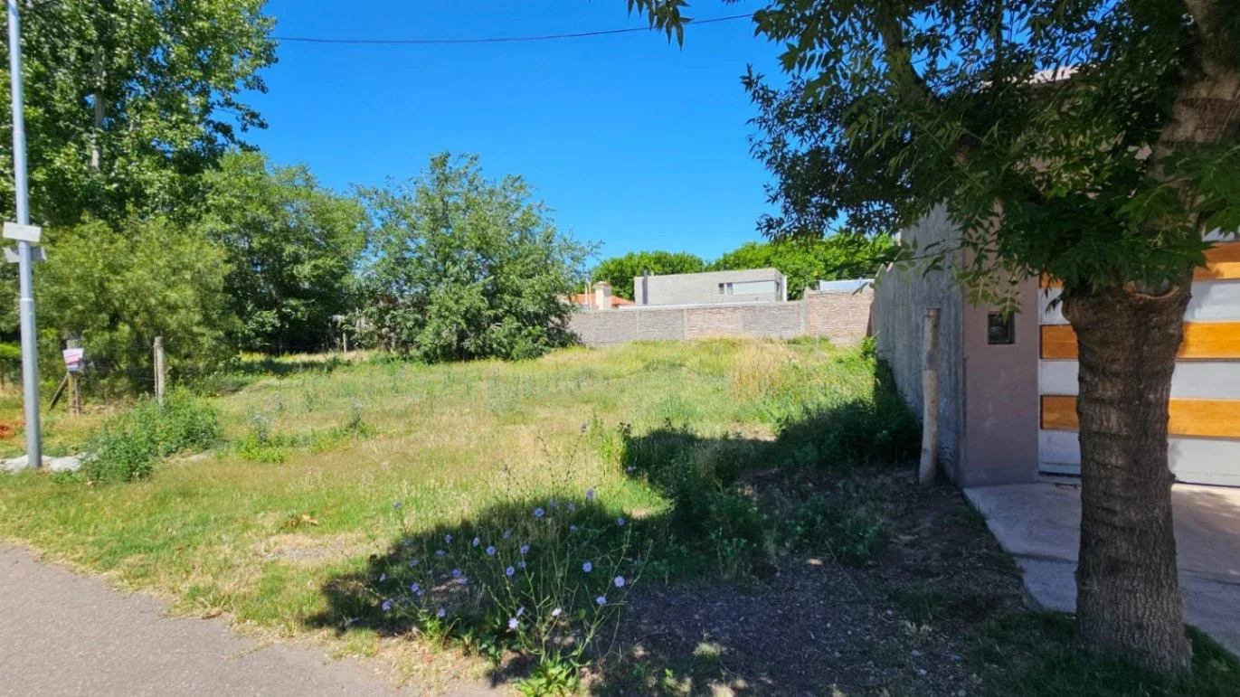 Terreno / Lote en venta de 364.4m2 ubicado en Tunuyán - Imagen 2