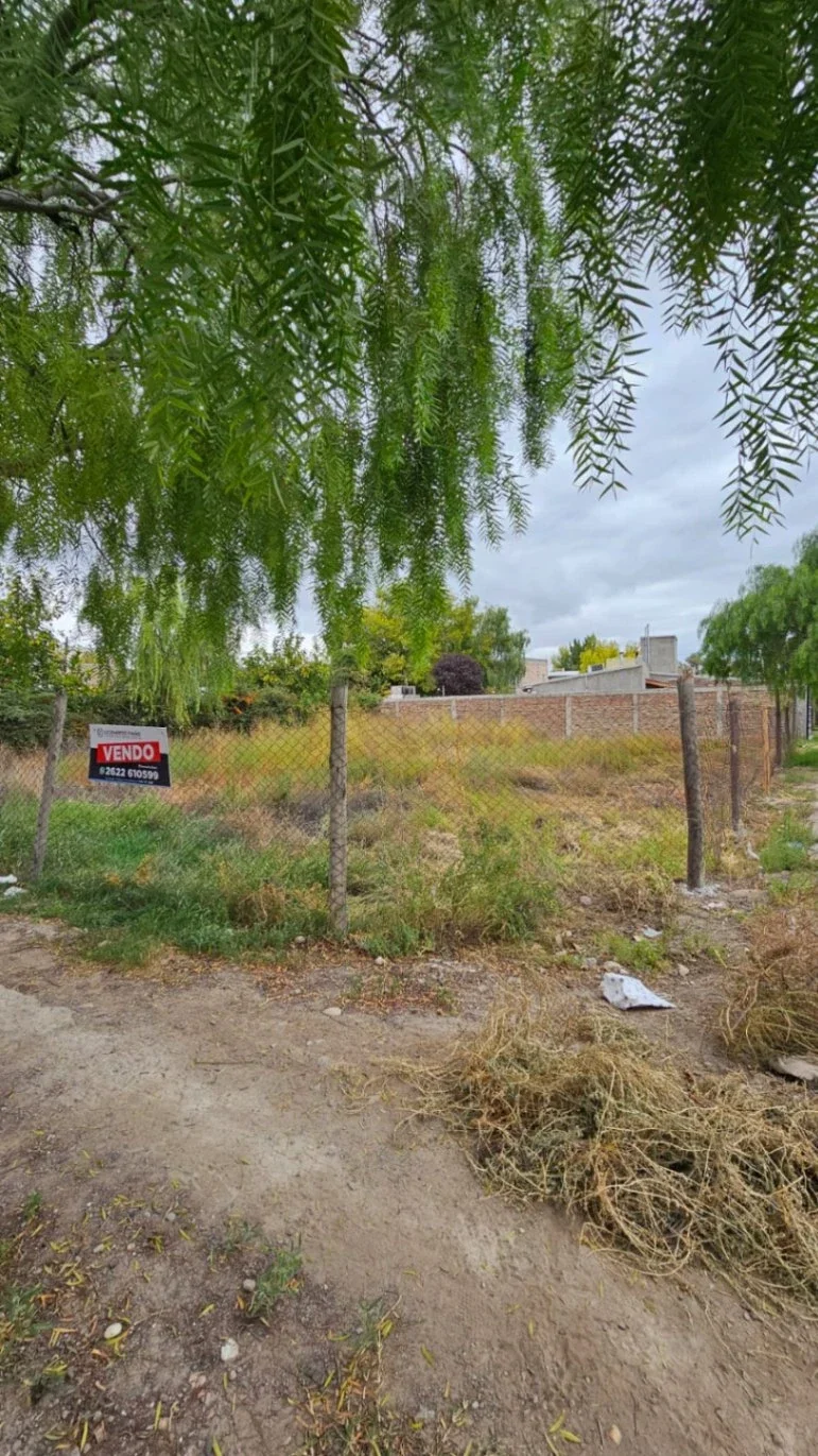 Terreno / Lote en venta de 274.37m2 ubicado en Tunuyán - Imagen 2