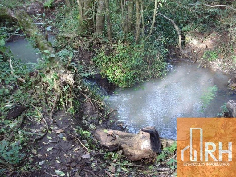 CAMPO GANADERO EN ARRENDAMIENTO – 793 HECT SOBRE RUTA NAC 12 | SANTA ANA, MNES - Imagen 3