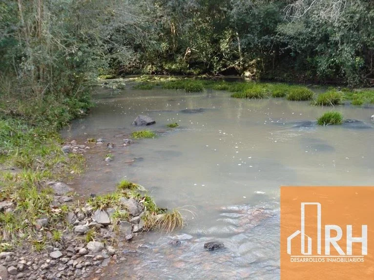CAMPO GANADERO EN ARRENDAMIENTO – 793 HECT SOBRE RUTA NAC 12 | SANTA ANA, MNES - Imagen 2