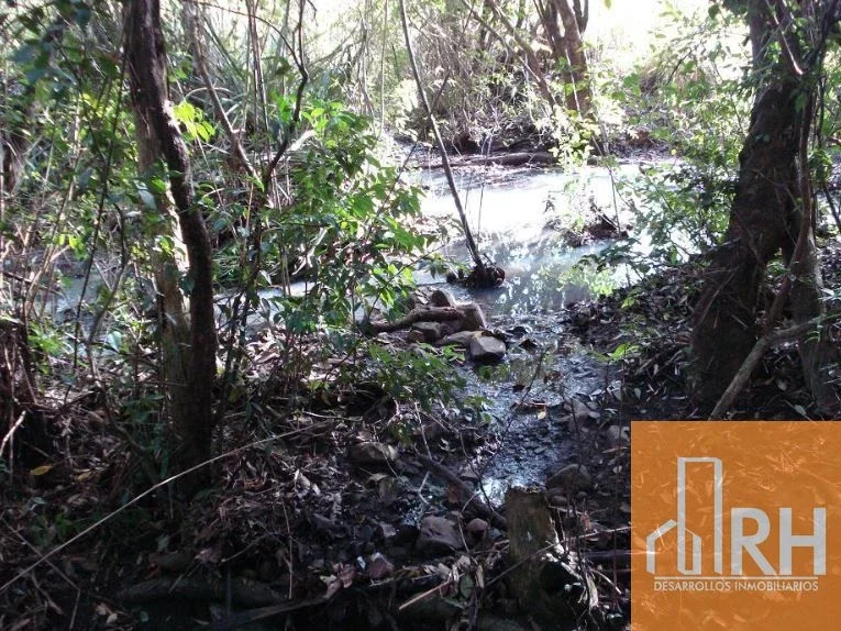 CAMPO GANADERO EN ARRENDAMIENTO – 793 HECT SOBRE RUTA NAC 12 | SANTA ANA, MNES - Imagen 5