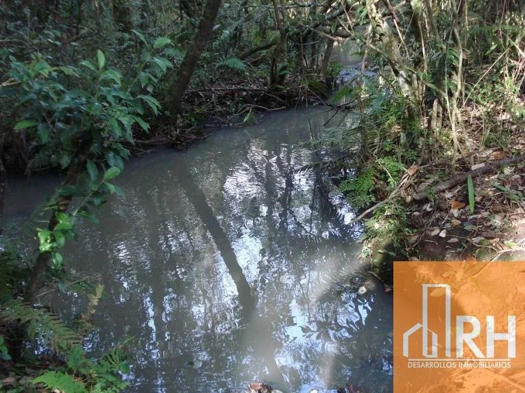 CAMPO GANADERO EN ARRENDAMIENTO – 793 HECT SOBRE RUTA NAC 12 | SANTA ANA, MNES - Imagen 4