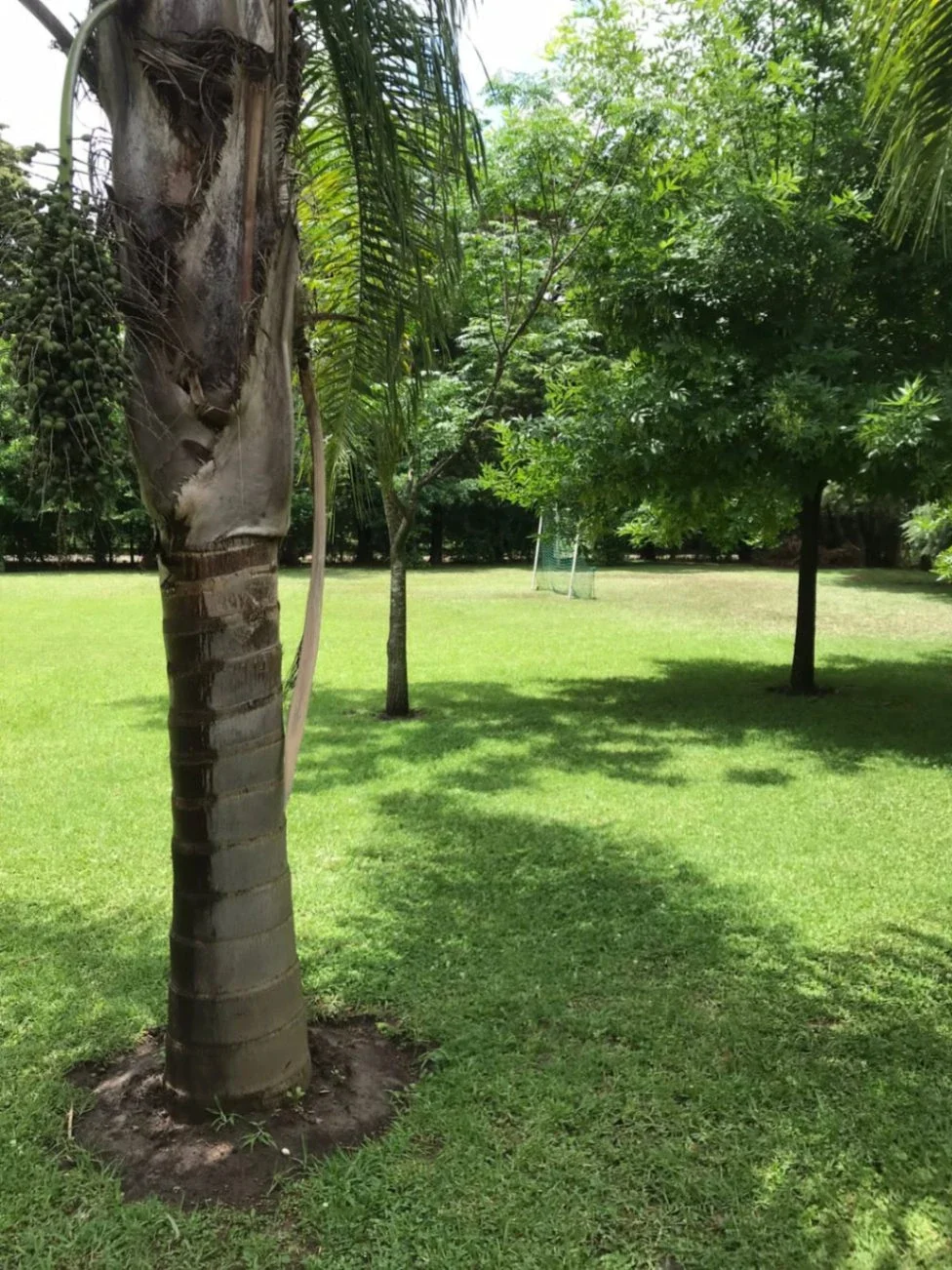 Casa quinta en venta de 2m2 ubicado en Belén de Escobar - Imagen 3