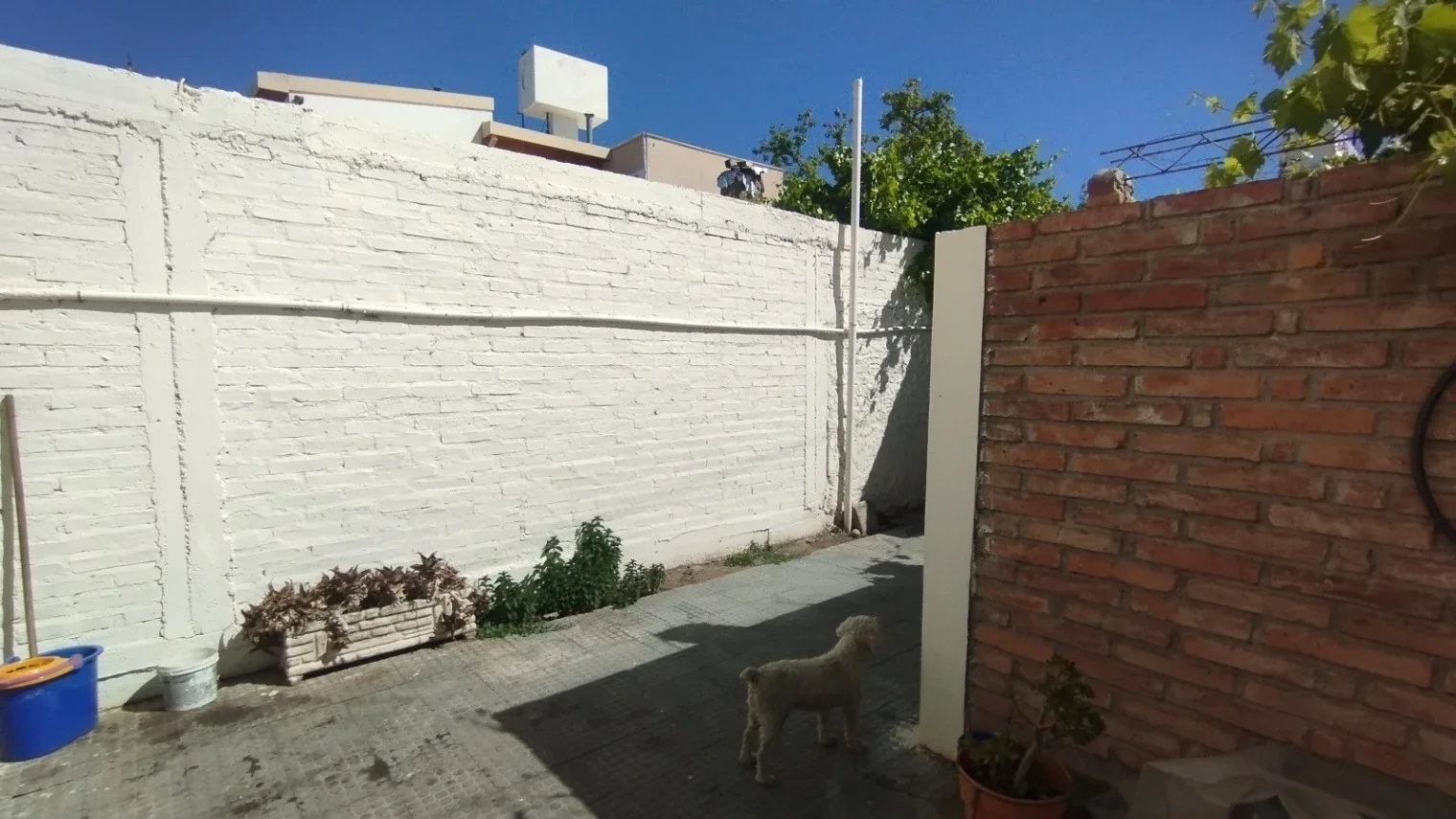 Casa céntrica en venta, zona colegios, San Rafael - Imagen 2