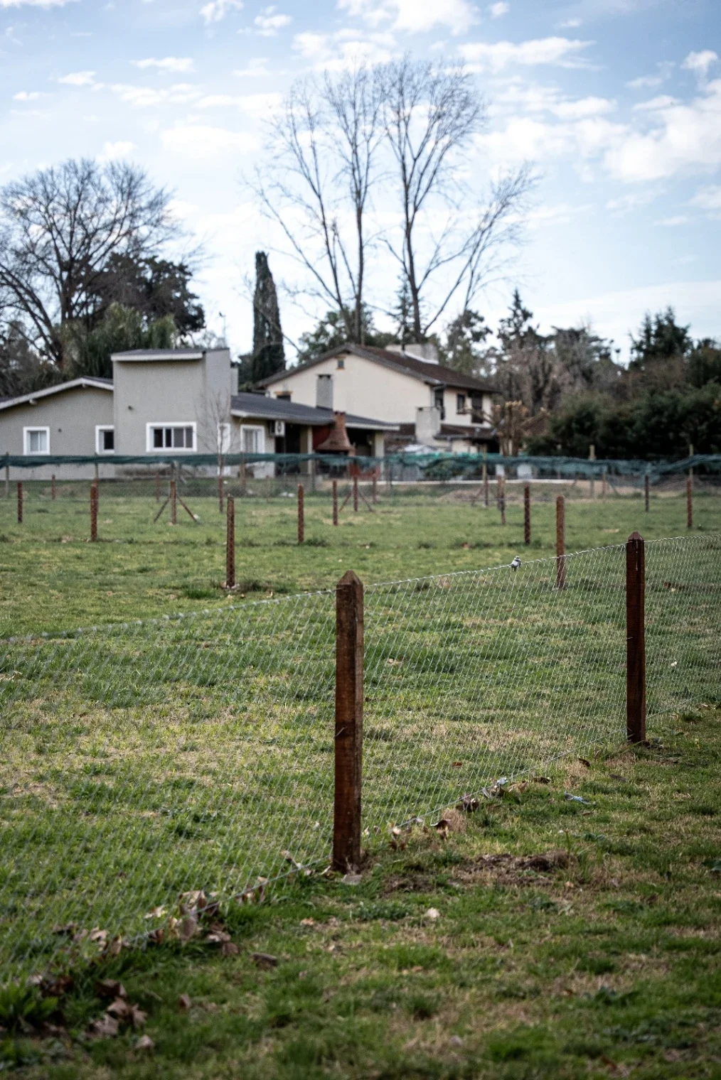Terreno En Parque Peró - Imagen 1