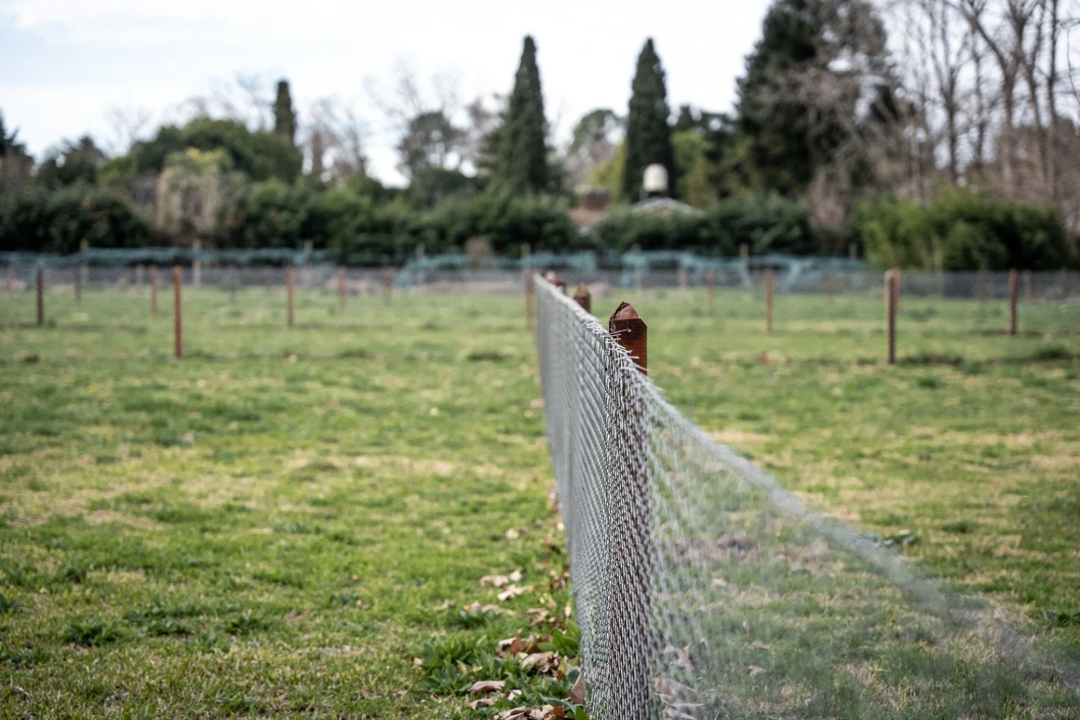 Terreno En Parque Peró - Imagen 2