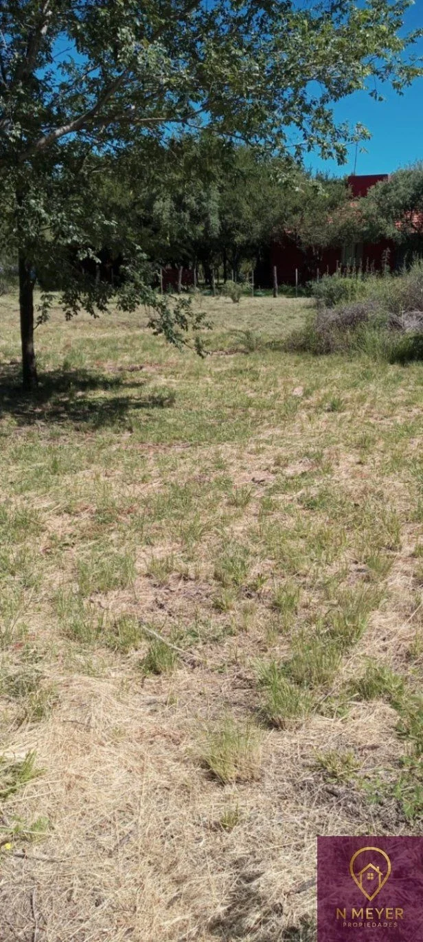 Lote en venta de 1020m2 San Luis en Carpintería - Imagen 3